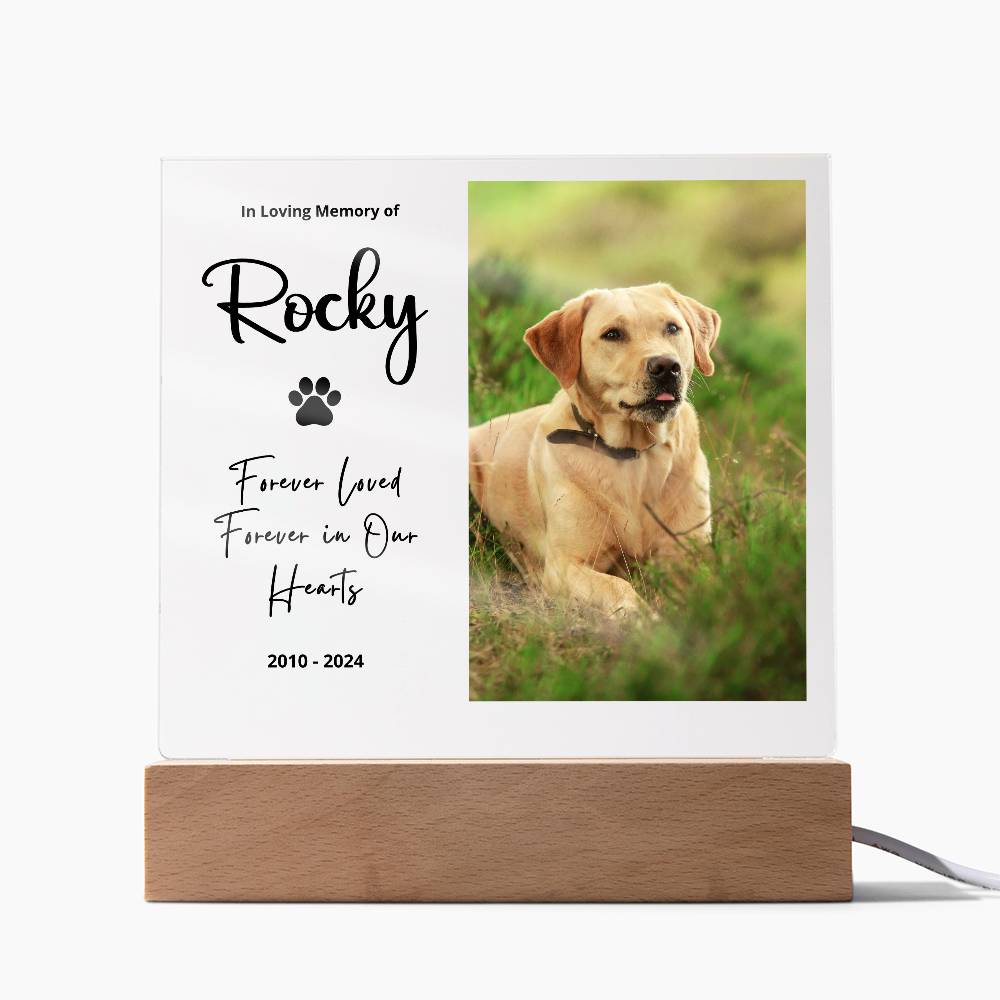 Personalized pet memorial LED plaque — Christian gift | The Faith World