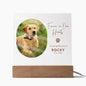 Personalized pet memorial LED plaque — Christian gift | The Faith World