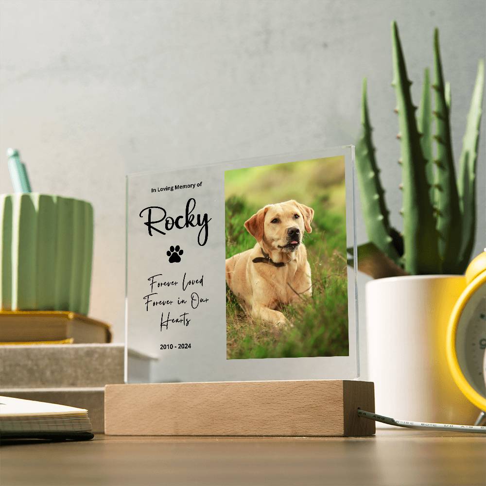 Personalized pet memorial LED plaque — Christian gift | The Faith World