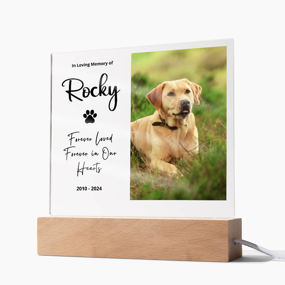 Personalized pet memorial LED plaque — Christian gift | The Faith World