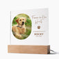 Personalized pet memorial LED plaque — Christian gift | The Faith World