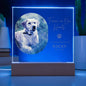 Personalized pet memorial LED plaque — Christian gift | The Faith World