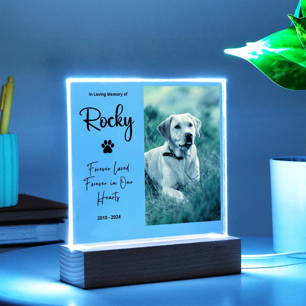 Personalized pet memorial LED plaque — Christian gift | The Faith World