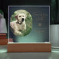 Personalized pet memorial LED plaque — Christian gift | The Faith World