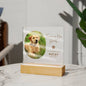 Personalized pet memorial LED plaque — Christian gift | The Faith World