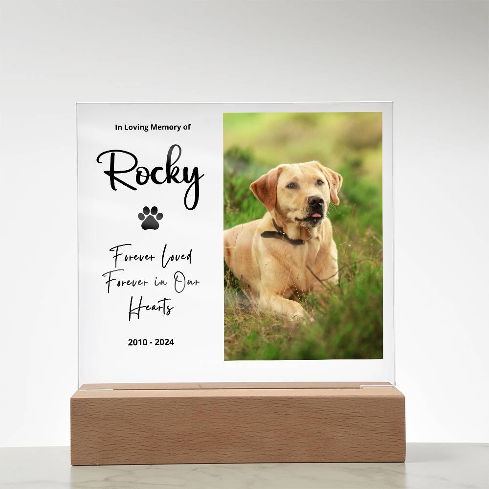 Personalized pet memorial LED plaque — Christian gift | The Faith World
