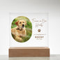 Personalized pet memorial LED plaque — Christian gift | The Faith World