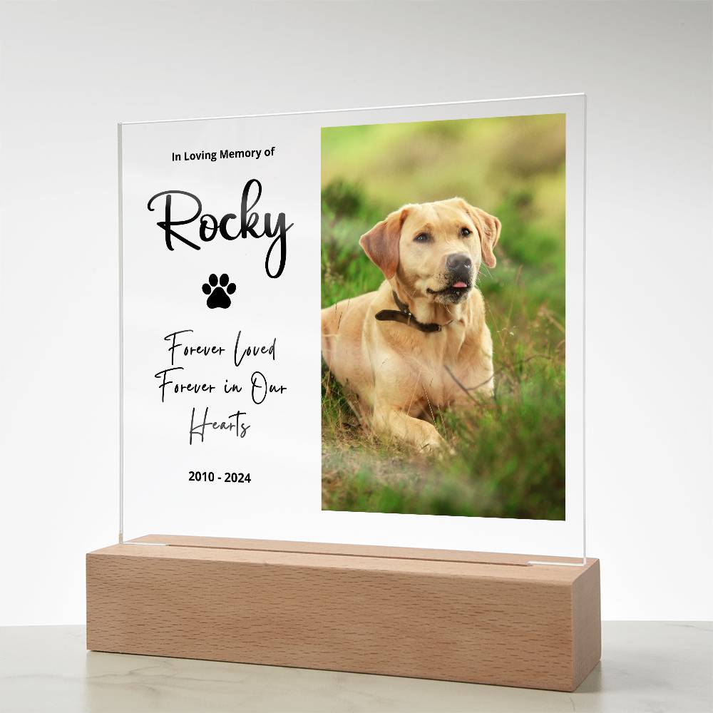 Personalized pet memorial LED plaque — Christian gift | The Faith World