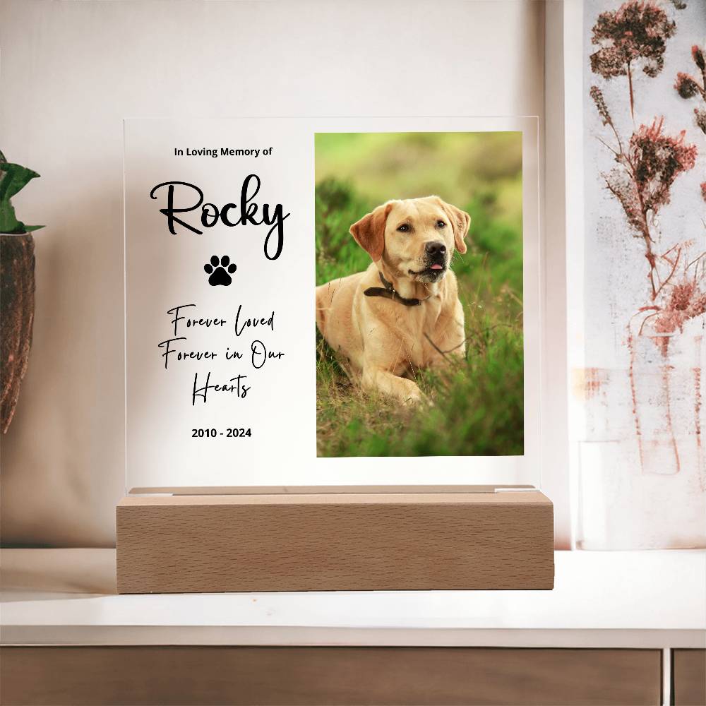 Personalized pet memorial LED plaque — Christian gift | The Faith World
