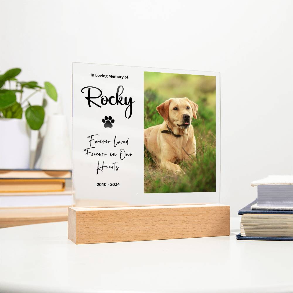 Personalized pet memorial LED plaque — Christian gift | The Faith World