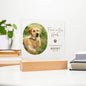 Personalized pet memorial LED plaque — Christian gift | The Faith World