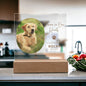 Personalized pet memorial LED plaque — Christian gift | The Faith World