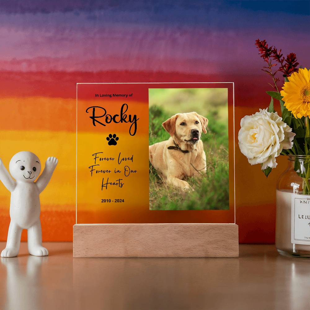 Personalized pet memorial LED plaque — Christian gift | The Faith World