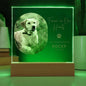 Personalized pet memorial LED plaque — Christian gift | The Faith World