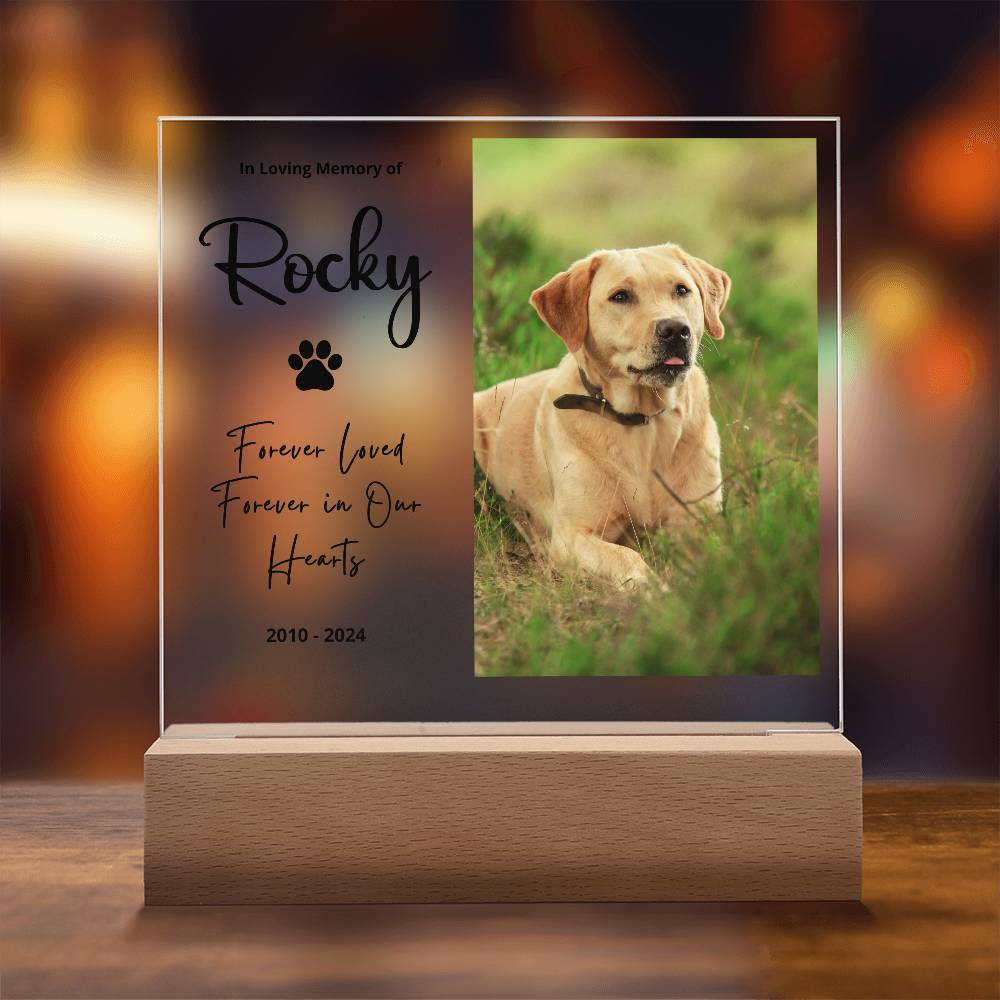 Personalized pet memorial LED plaque — Christian gift | The Faith World