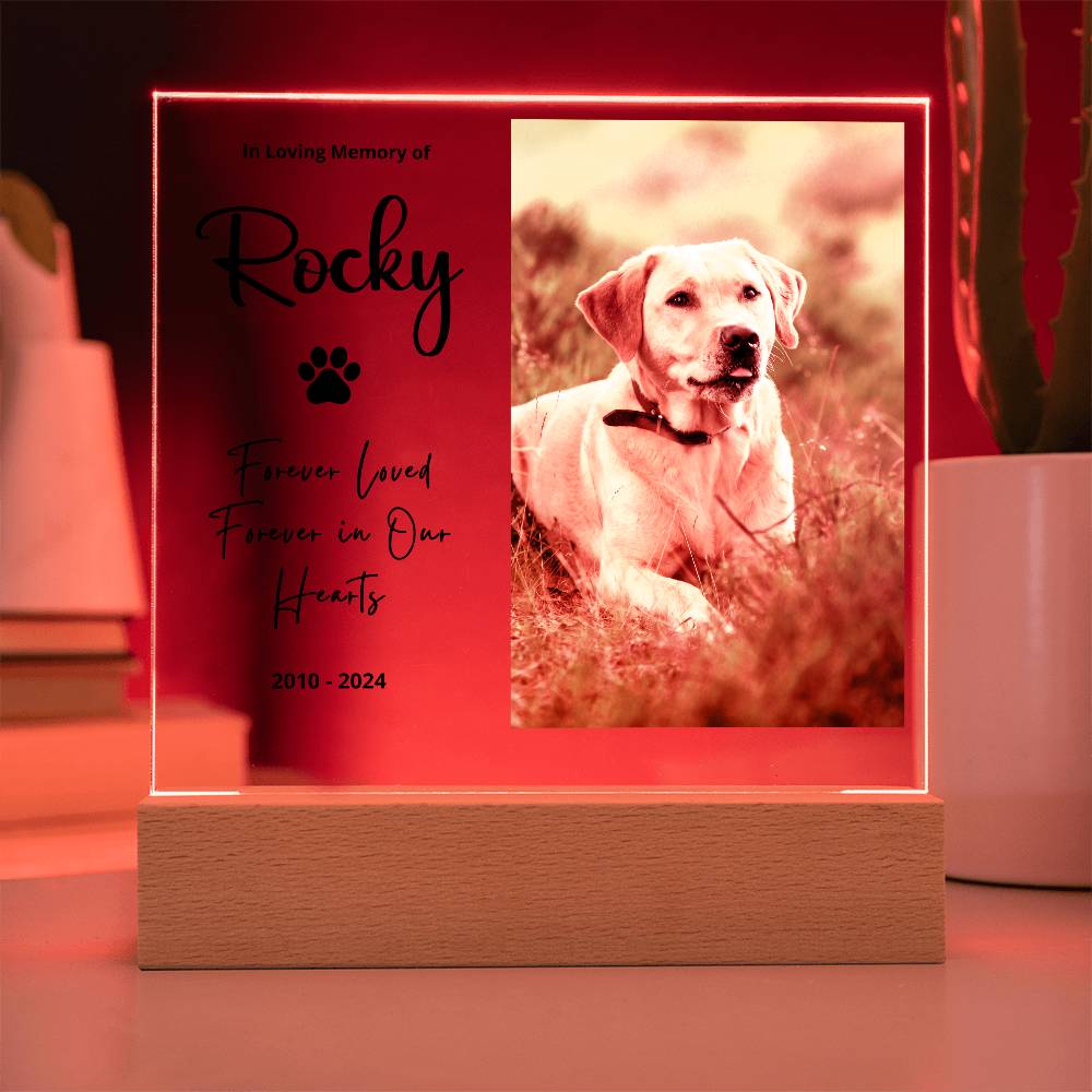 Personalized pet memorial LED plaque — Christian gift | The Faith World