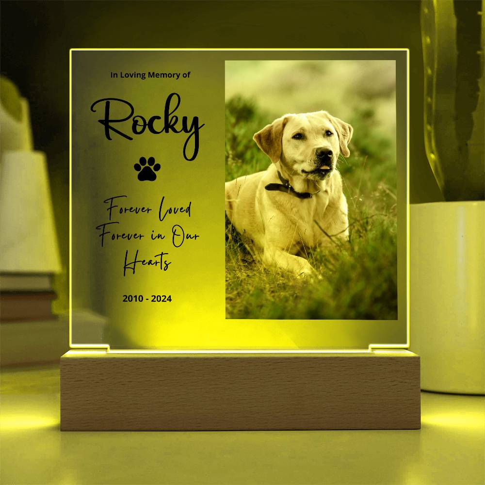 Personalized pet memorial LED plaque — Christian gift | The Faith World